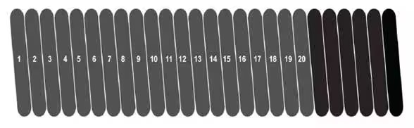 Measure 20 Coils of Torsion Spring